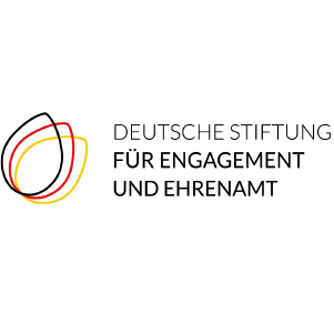 Deutsche Stiftung Logo